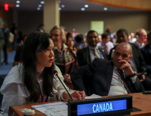 [:en]Nunatsiaq – Canadian Inuit come out in force at UN Indigenous forum[:]